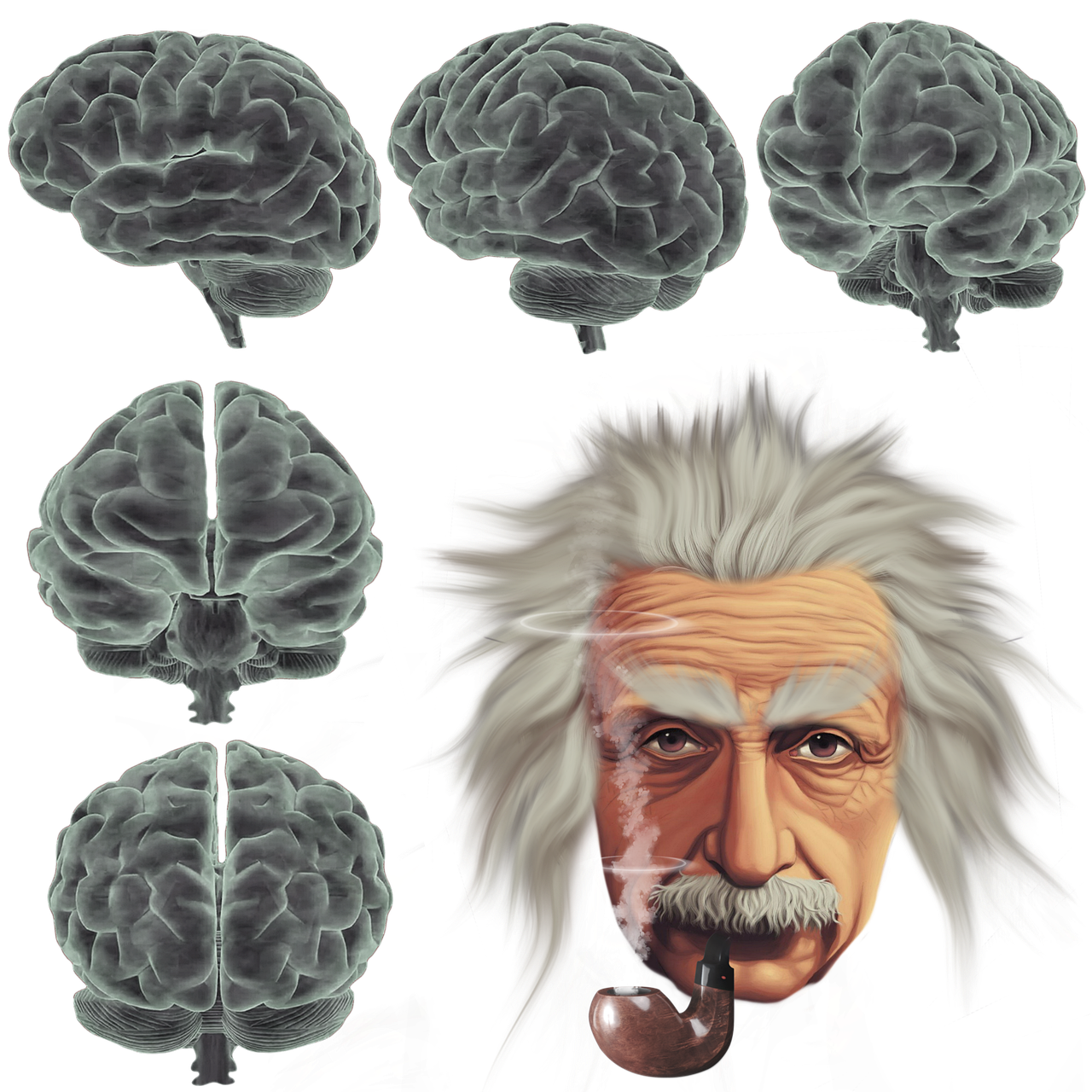 mind, brain, cutout-7291170.jpg